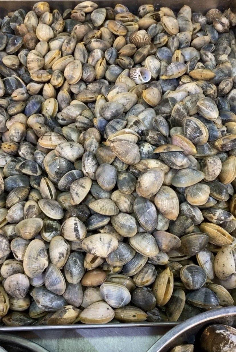 Flower Clams