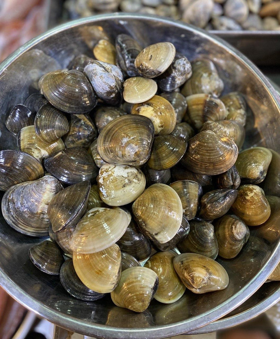 La La Clams