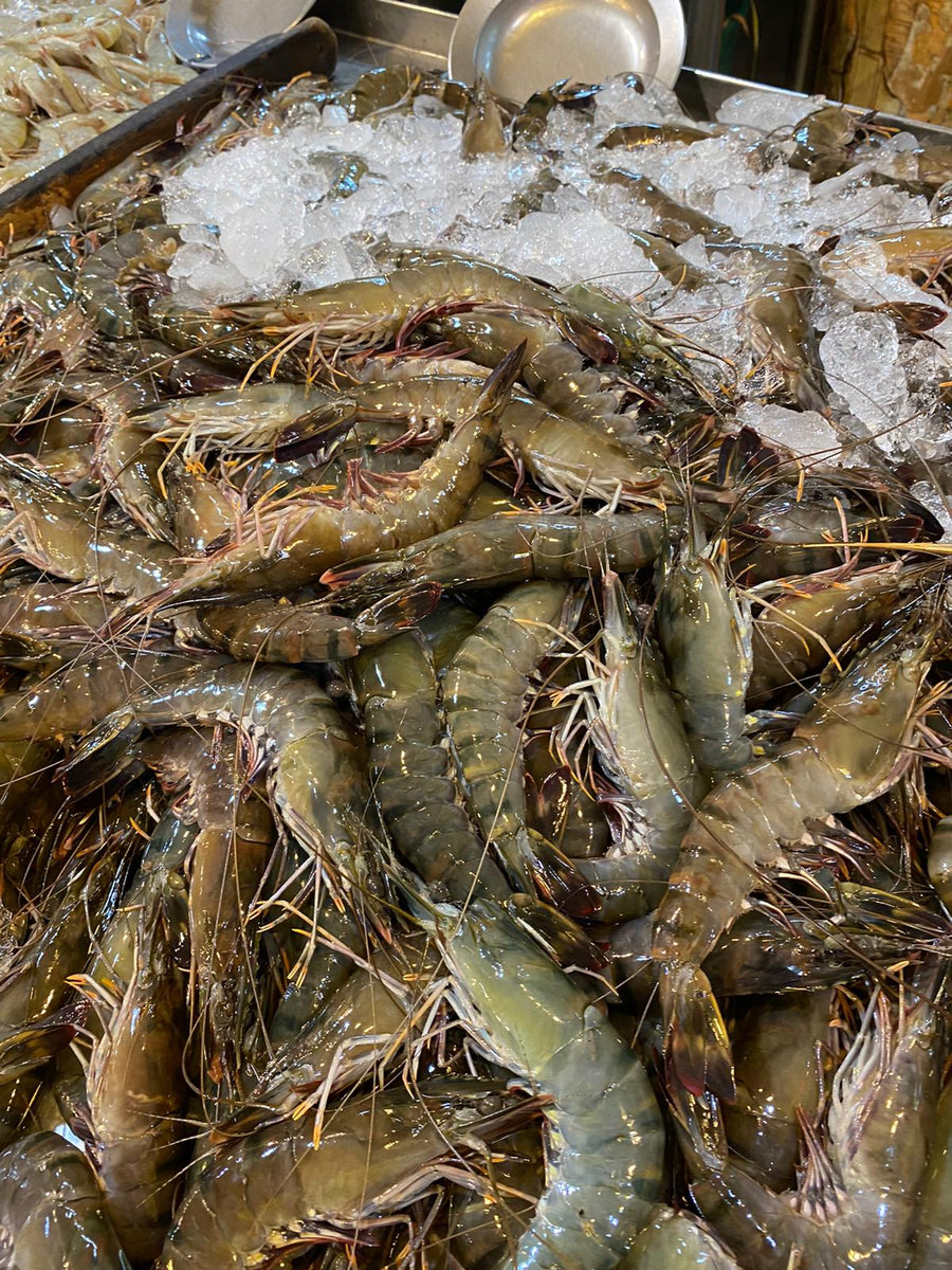 Tiger Prawns