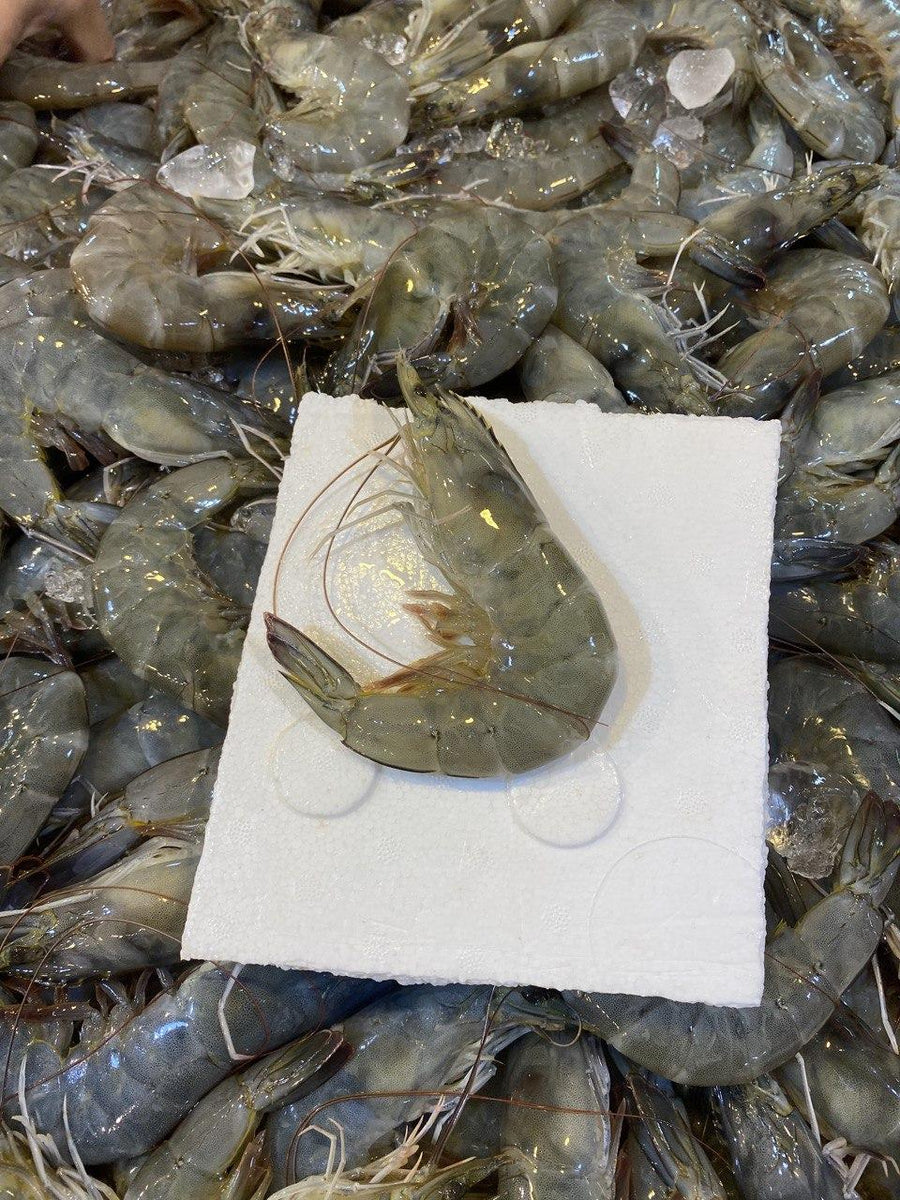 Vannamei Prawns